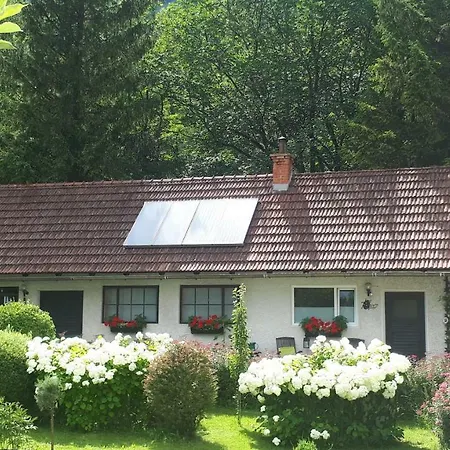 Lucky Lady Апартаменты *