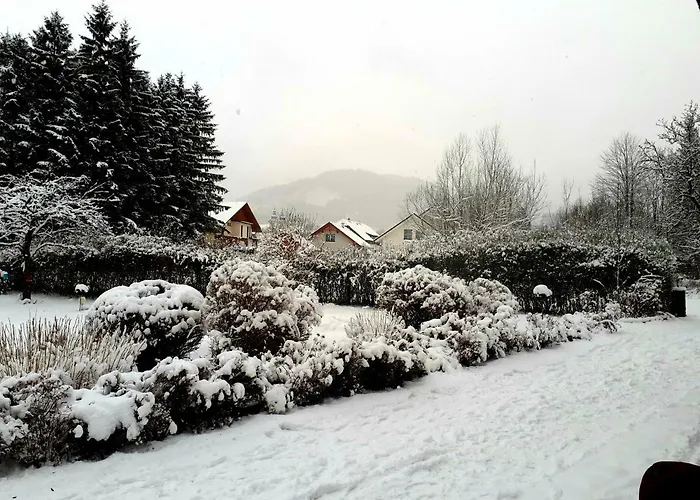 Lucky Lady Шпиталь-ам-Пихрн