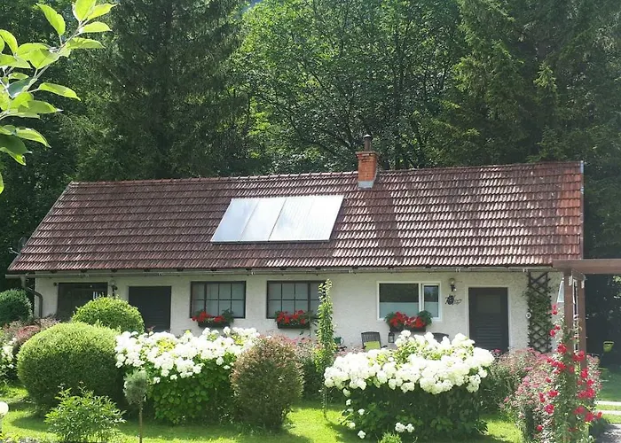 Lucky Lady Апартаменты *