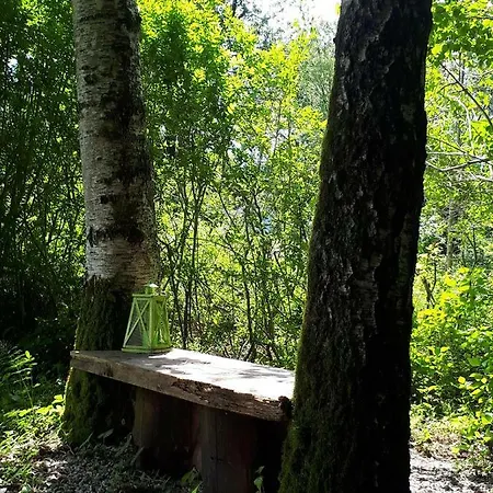 Lucky Lady Daire Spital Am Pyhrn