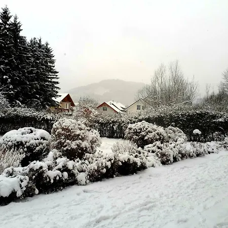 Lucky Lady Spital Am Pyhrn